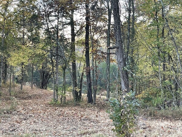 Walking trails 