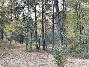 Walking trails