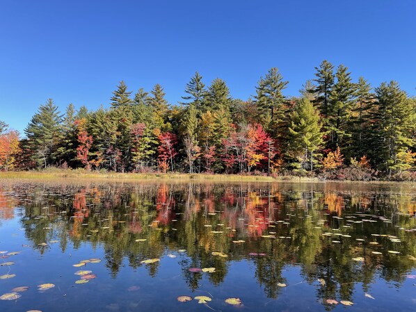 Wild Goose Pond is beautiful all year round.