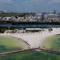 Neigborhood Beach