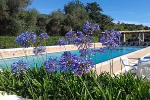 Lower pool in the valley (shared pool)