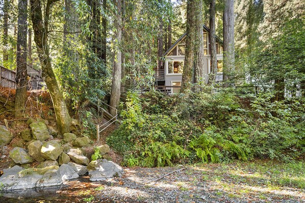 Follow the trail from the backyard to the creekbed.