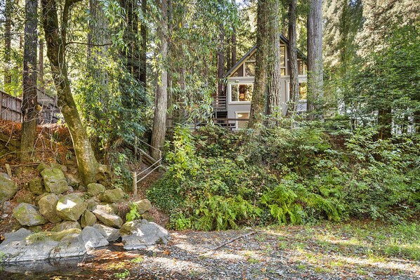 Follow the trail from the backyard to the creekbed.