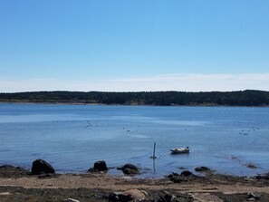 Boendeområde
