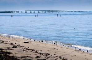 Chesapeake Bay