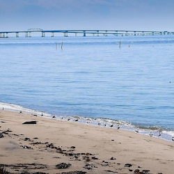 Chesapeake Bay