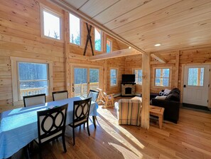 TV and electric fireplace in living area