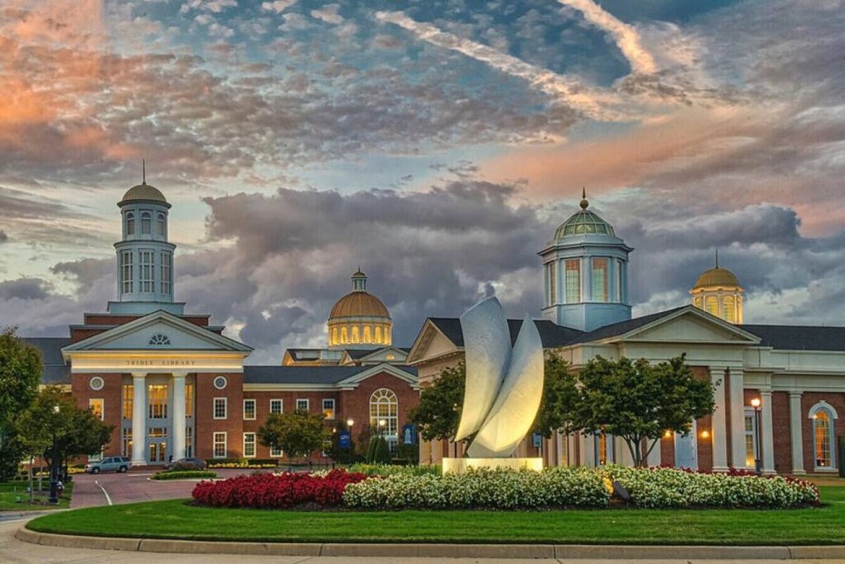 Main Image
