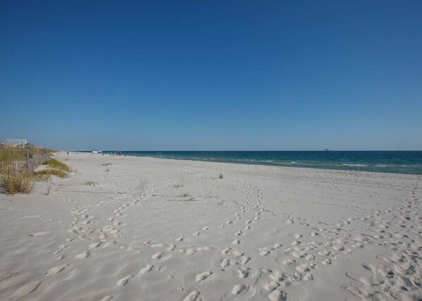 Beach Views