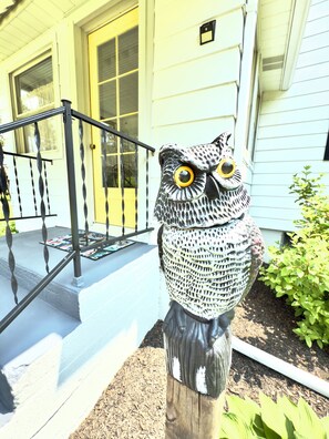 The Dorothy... Oden the Owl, protecting the entrance from wild turkey :)