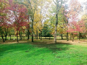 Jardines del alojamiento