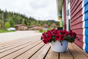 Trädgård