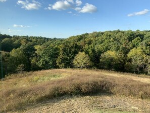 View from the Cabin