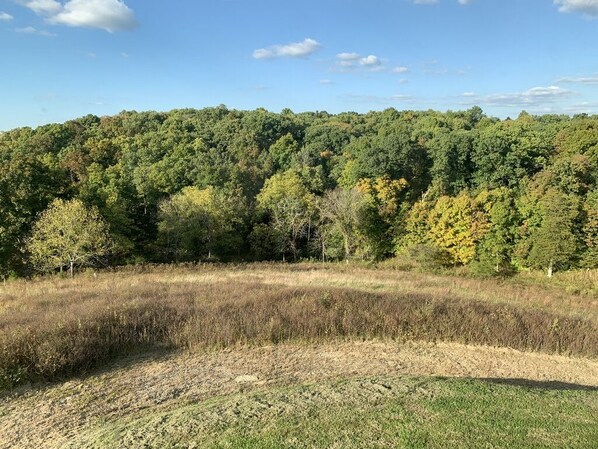 View from the Cabin