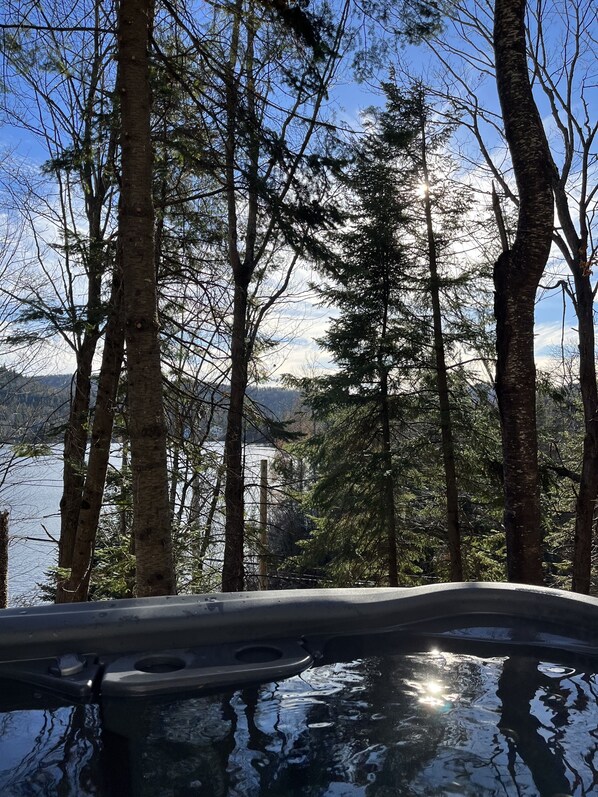 Beautiful view of the lake from our 4 season spa.
