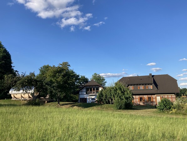 Exteriör