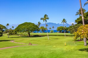 Kaanapali Golf Course Ocean View - Enjoy views of Kaanapali Golf course with Ocean view