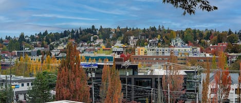 Beautiful view of Freemont Hill from living room windows. 