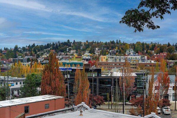 Beautiful view of Freemont Hill from living room windows. 