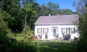 Front Yard
