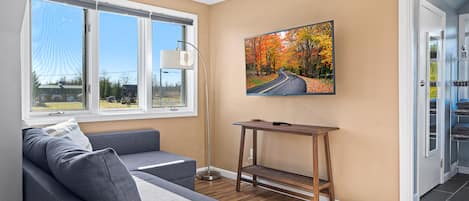 The living area with a sleeper sofa that accommodates extra guests.