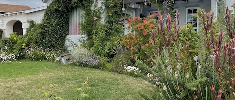 the front garden