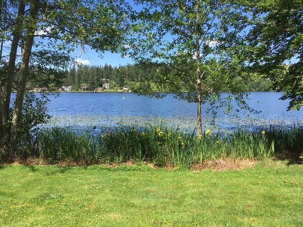 Boendeområde