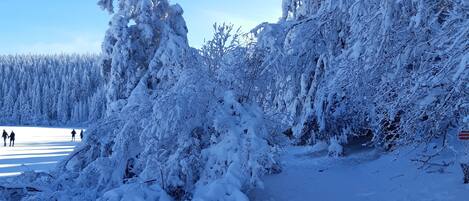 Sci e sport sulla neve