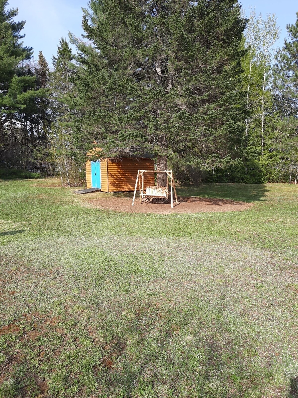 Main Image