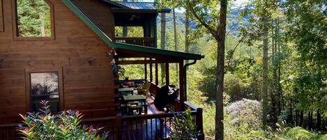 Wonderful Cozy Cabin with Excellent Views of the Chattahoochee National Forest