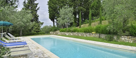 The equipped  and exclusive pool surroundined by olives trees