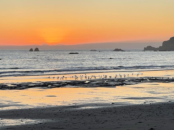 walk to the beach and enjoy a picture perfect sunset