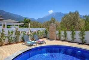 Private pool and terrace