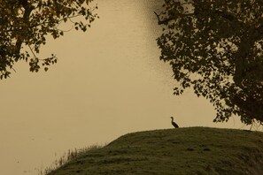 Boendeområde