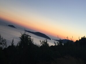 Vista da propriedade
