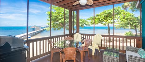 Large screened in patio