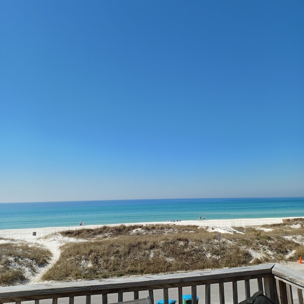 this is a view from the deck 