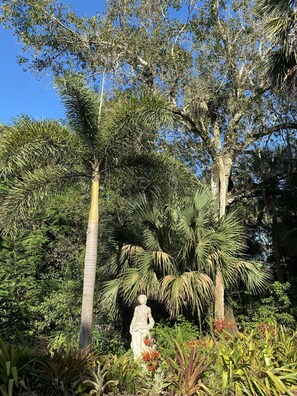 Front gardens