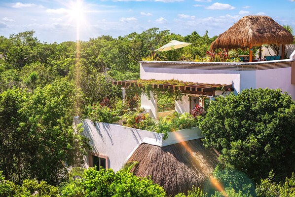 Large open & private. Great for a family or group. Come experience Tulum!