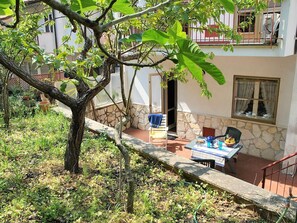 Plant, Flowerpot, Window, Houseplant, Building, Outdoor Furniture, Shade, Tree, Twig, Grass