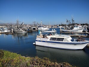 Marina