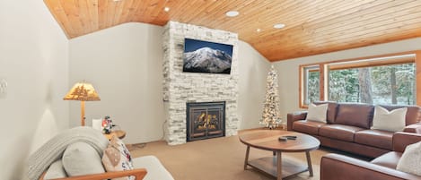 Living room with sleeper sofa and gas fireplace