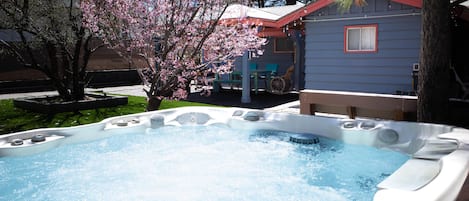 Your own private park like backyard with hot tub.