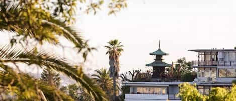 Tree top Views of Yamashiro and Hollywood Hills