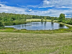 Can you feel the peace and quiet? Enjoy this 5 acre private pond fishing, kayaking and swimming!