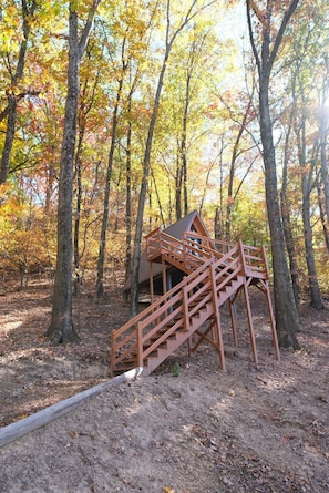 Front Steps