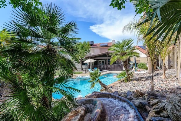 Waterslide Wiew with Very Tall and Large Backyard Palm Trees (Different Species)