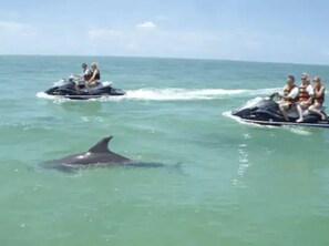 Waverunner rentals are available everywhere! Fun for the whole family!