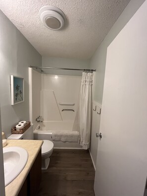 Downstairs hall bathroom 