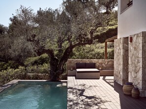 Featuring a 30m2 Private Pool with captivating natural surroundings. 